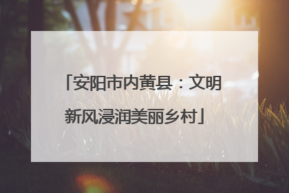 安阳市内黄县：文明新风浸润美丽乡村