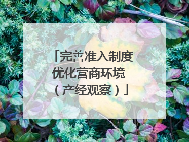 完善准入制度 优化营商环境（产经观察）