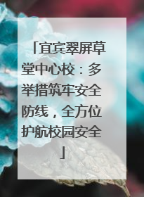宜宾翠屏草堂中心校：多举措筑牢安全防线，全方位护航校园安全