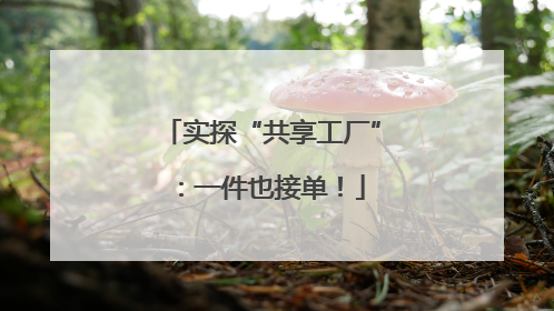 实探“共享工厂”：一件也接单！