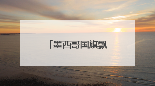 墨西哥国旗飘扬洛杉矶 白宫：看，罪证
