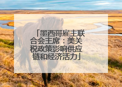 墨西哥雇主联合会主席：美关税政策影响供应链和经济活力
