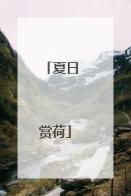 夏日赏荷