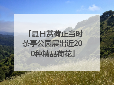 夏日赏荷正当时 茶亭公园展出近200种精品荷花