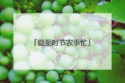 夏至时节农事忙