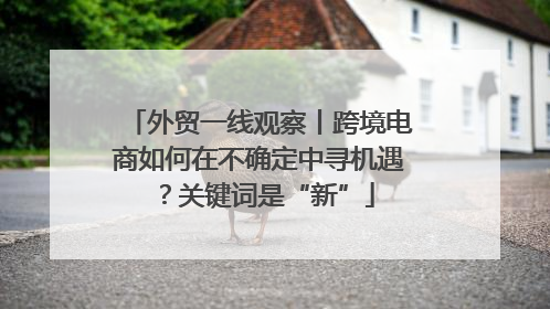 外贸一线观察丨跨境电商如何在不确定中寻机遇？关键词是“新”
