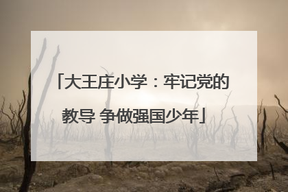 大王庄小学：牢记党的教导 争做强国少年