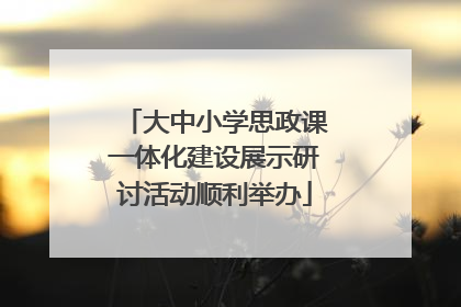 大中小学思政课一体化建设展示研讨活动顺利举办