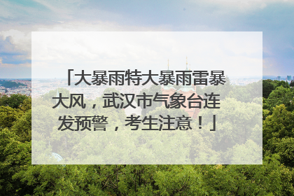 大暴雨特大暴雨雷暴大风，武汉市气象台连发预警，考生注意！