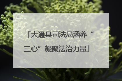 大通县司法局涵养“三心”凝聚法治力量