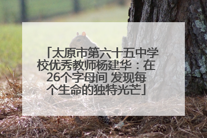 太原市第六十五中学校优秀教师杨建华：在26个字母间 发现每个生命的独特光芒