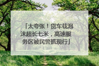 太夸张！货车载泡沫超长七米，高速服务区被民警抓现行
