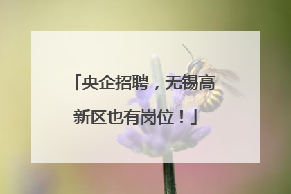 央企招聘，无锡高新区也有岗位！