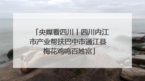央媒看四川丨四川内江市产业帮扶巴中市通江县 梅花鸡鸣百姓富