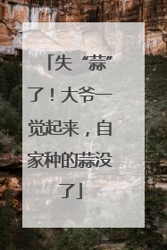失“蒜”了！大爷一觉起来，自家种的蒜没了