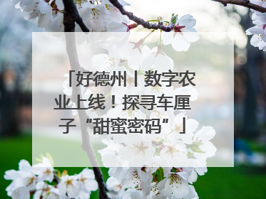 好德州丨数字农业上线！探寻车厘子“甜蜜密码”