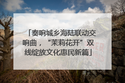 奏响城乡海陆联动交响曲，“茉莉花开”双线绽放文化惠民新篇