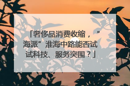奢侈品消费收缩，“海派”淮海中路能否试试科技、服务突围？