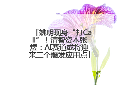 姚明现身“打Call”！清智资本张煜：AI赛道或将迎来三个爆发应用点