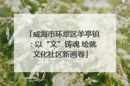 威海市环翠区羊亭镇：以“文”铸魂 绘就文化社区新画卷