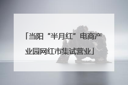 当阳“半月红”电商产业园网红市集试营业