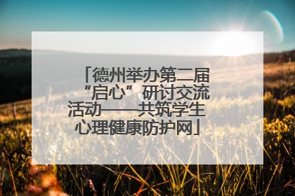 德州举办第二届“启心”研讨交流活动——共筑学生心理健康防护网
