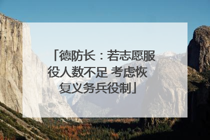 德防长：若志愿服役人数不足 考虑恢复义务兵役制