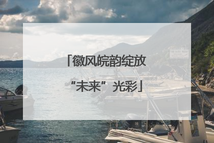 徽风皖韵绽放“未来”光彩