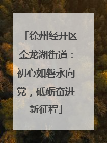 徐州经开区金龙湖街道：初心如磐永向党，砥砺奋进新征程