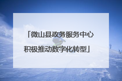 微山县政务服务中心积极推动数字化转型