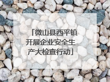 微山县西平镇开展企业安全生产大检查行动