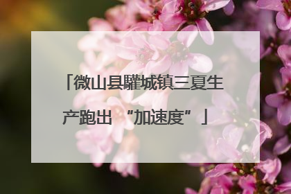 微山县驩城镇三夏生产跑出 “加速度”