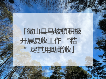 微山县马坡镇积极开展夏收工作 “秸”尽其用助增收