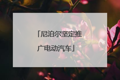 尼泊尔坚定推广电动汽车