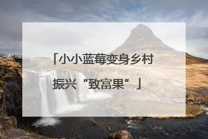 小小蓝莓变身乡村振兴“致富果”