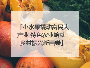 小水果撬动富民大产业 特色农业绘就乡村振兴新画卷