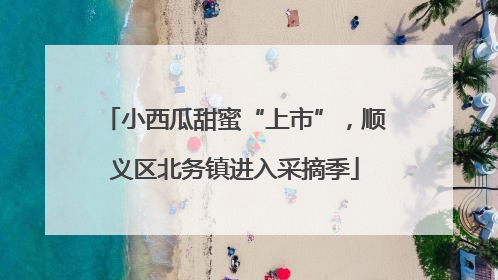 小西瓜甜蜜“上市”，顺义区北务镇进入采摘季
