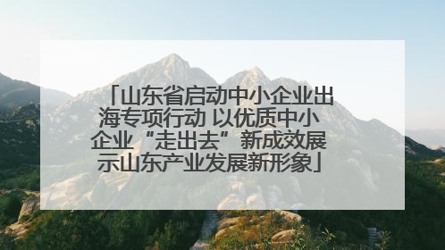 山东省启动中小企业出海专项行动 以优质中小企业“走出去”新成效展示山东产业发展新形象