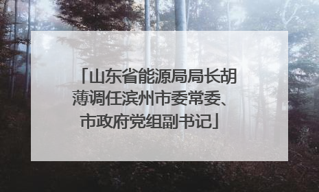 山东省能源局局长胡薄调任滨州市委常委、市政府党组副书记