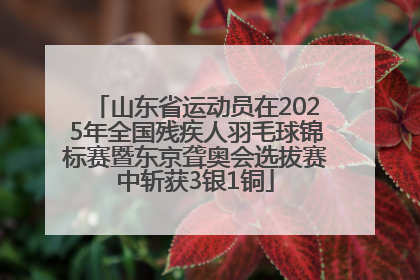 山东省运动员在2025年全国残疾人羽毛球锦标赛暨东京聋奥会选拔赛中斩获3银1铜