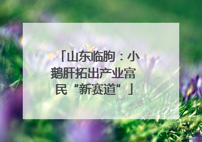 山东临朐：小鹅肝拓出产业富民“新赛道”