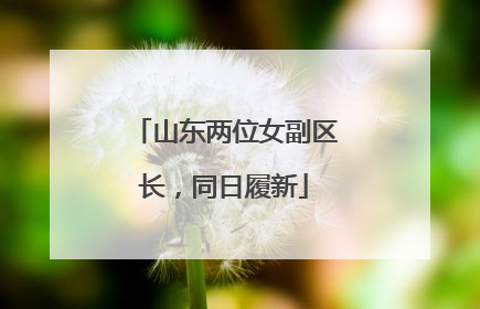 山东两位女副区长，同日履新