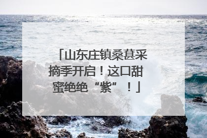 山东庄镇桑葚采摘季开启！这口甜蜜绝绝“紫”！