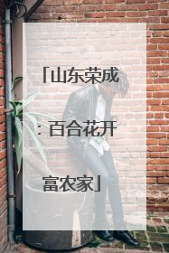 山东荣成：百合花开富农家