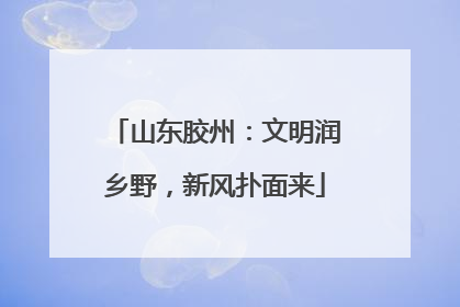 山东胶州：文明润乡野，新风扑面来