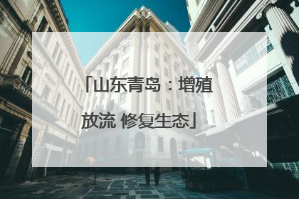 山东青岛：增殖放流 修复生态