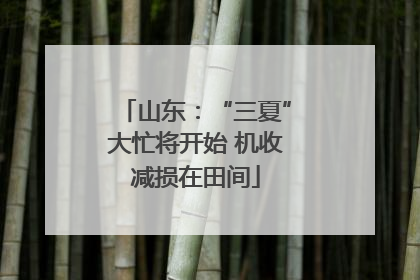 山东：“三夏”大忙将开始 机收减损在田间
