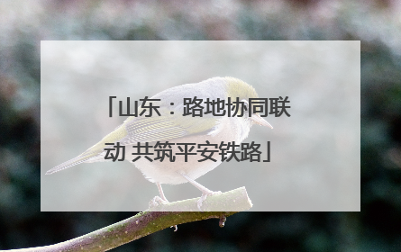 山东：路地协同联动 共筑平安铁路