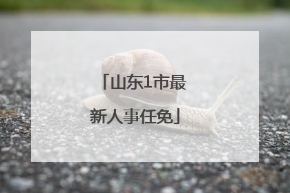 山东1市最新人事任免