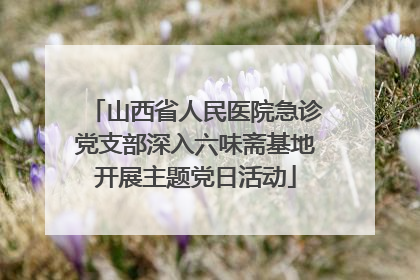 山西省人民医院急诊党支部深入六味斋基地开展主题党日活动